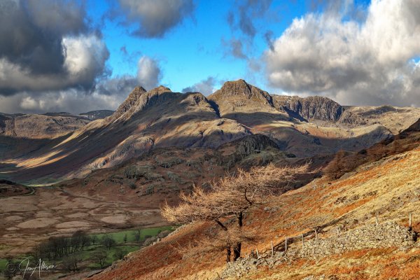 The iconic profile of the Langdale Pikes is fully appreciated here in this lovely picture of the pikes. I took this from half way up Lingmoor Fell on the Blea Tarn side, in late autumn afternoon sunshine. Glorious! Click on the picture to explore.