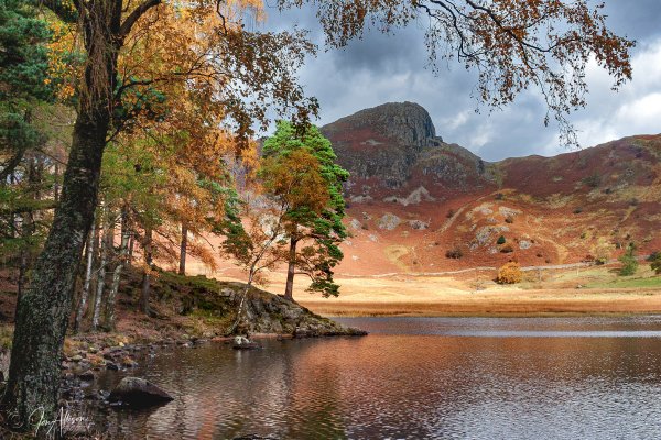 Blea Tarn, Little Langdale, looking glorious with its autumn hues on show. Click on the picture to expand and explore options.
Canon EOS 1D Mk11; Canon EF 24-105 L IS USM Lens.